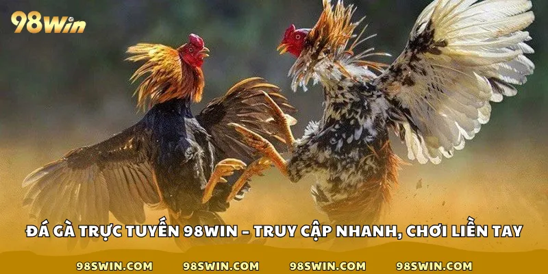 Đá gà trực tuyến